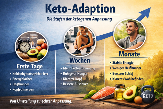 Keto-Adaption: Wann die echten Vorteile der ketogenen Ernährung spürbar werden - Keto-Anleitung.de